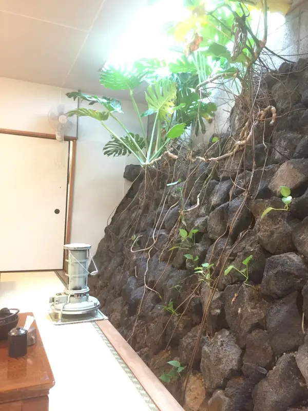 ワイルドな壁