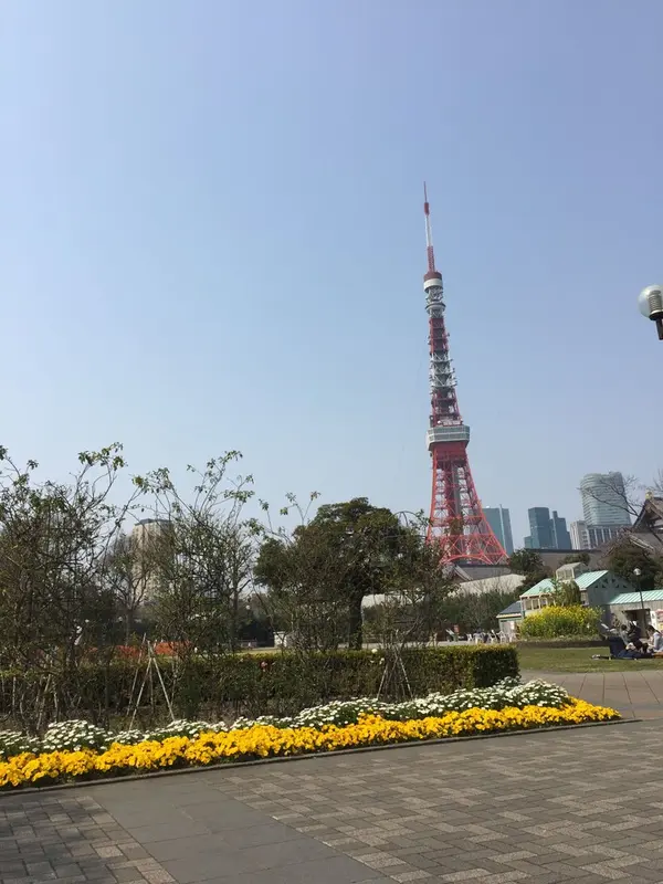 お花🌸🌼も素敵