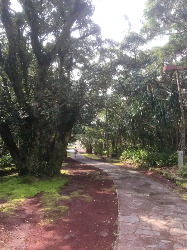 屋外へ