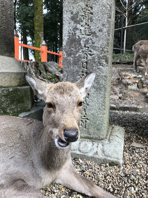 変な顔(笑)