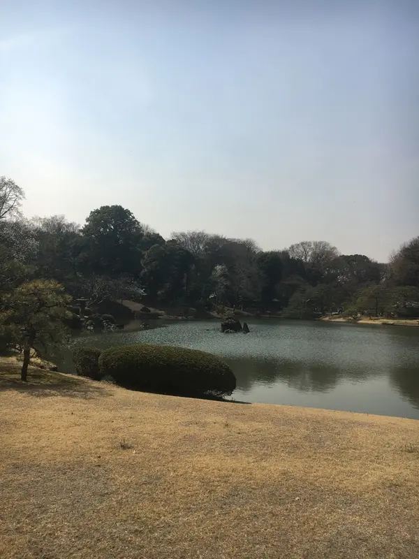 いけ