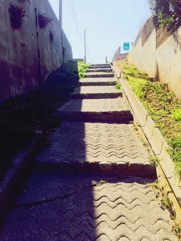 たのしい階段