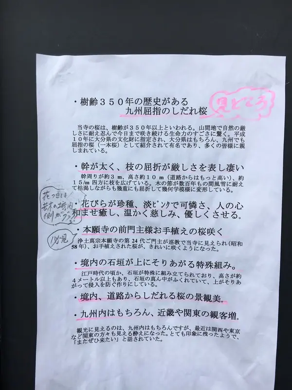 スポット内のおすすめ