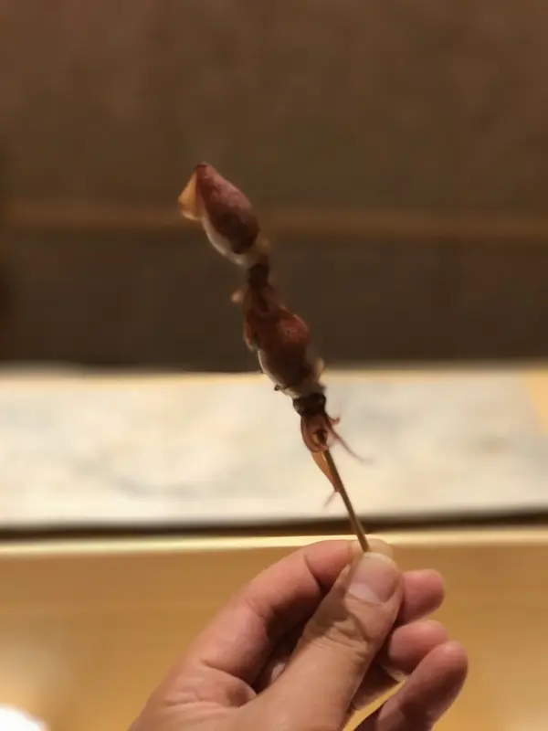 蛍烏賊