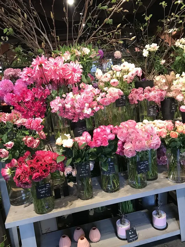 スポット内のおすすめ