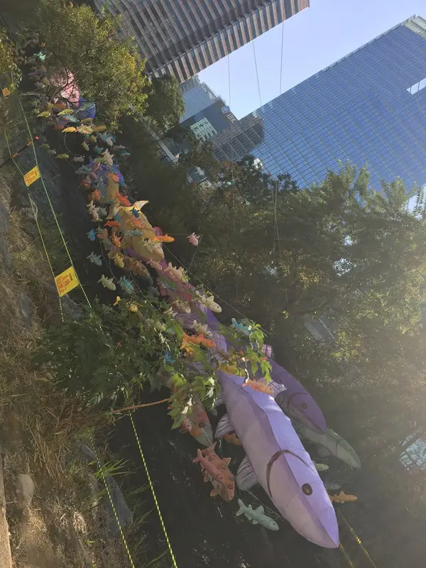 昼間なのが残念・・・