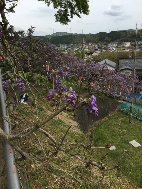トンネル