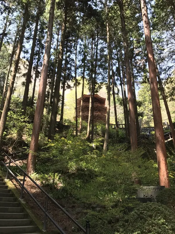 登って行きます