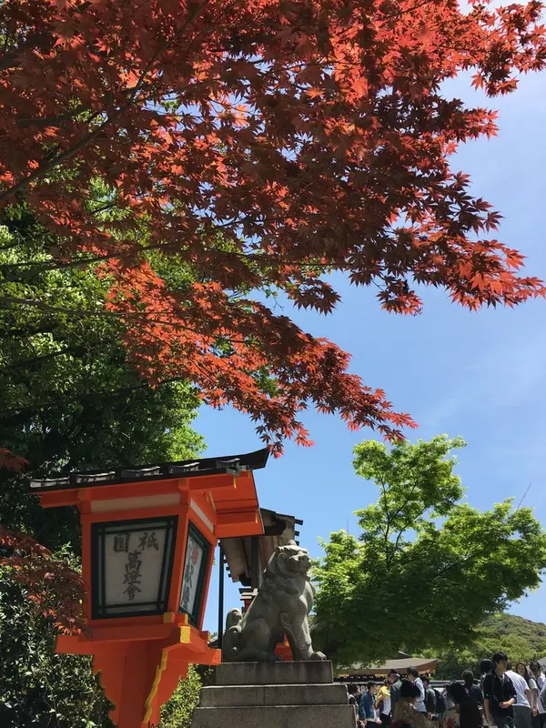 季節感が……