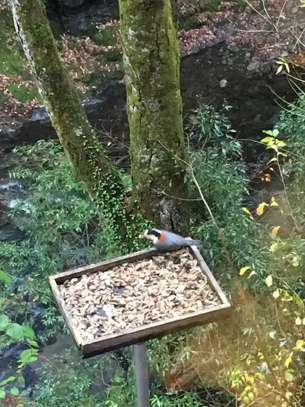 窓からの景色