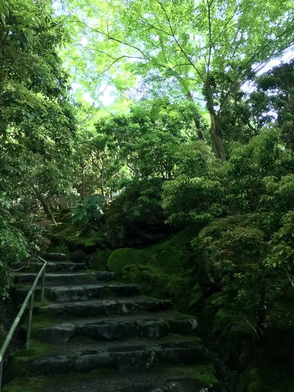 入ると一面に緑の世界が🌱