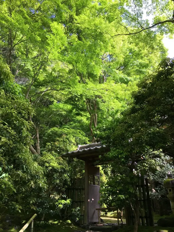 階段をのぼりきって更に門が。