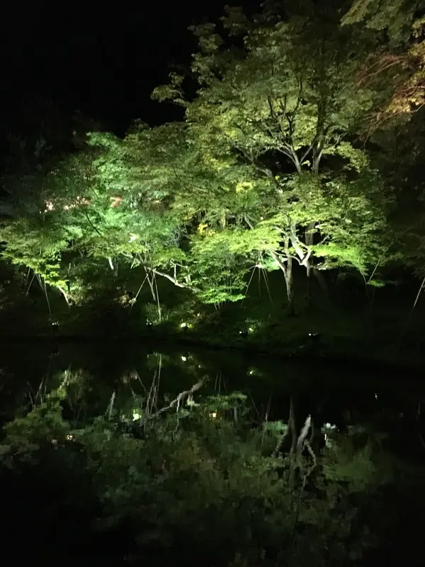 こちらもまた水面に映る緑が美しいです✨