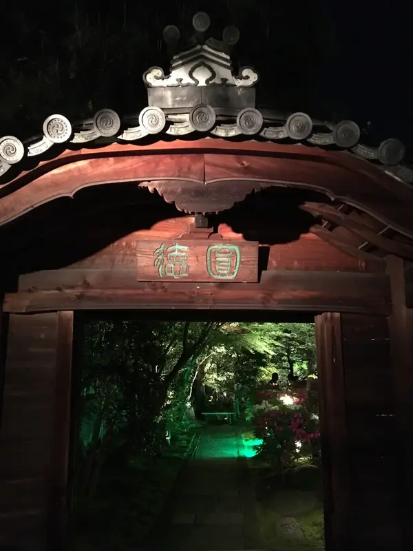 門の先にはまたまた違った緑の世界が🌱
