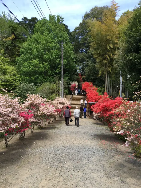 お寺へ続く階段