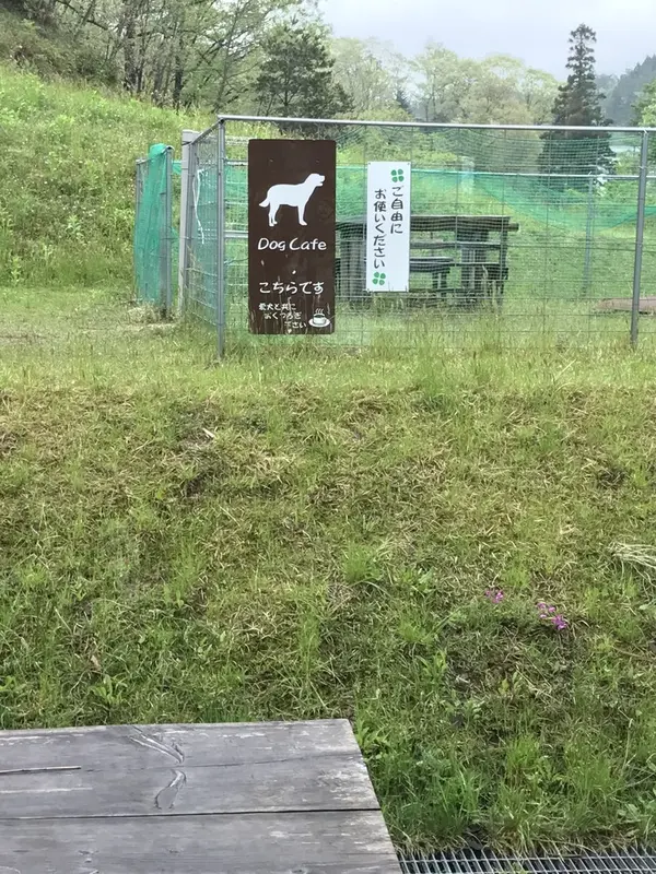 dog run