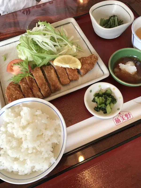 萌カツセット
