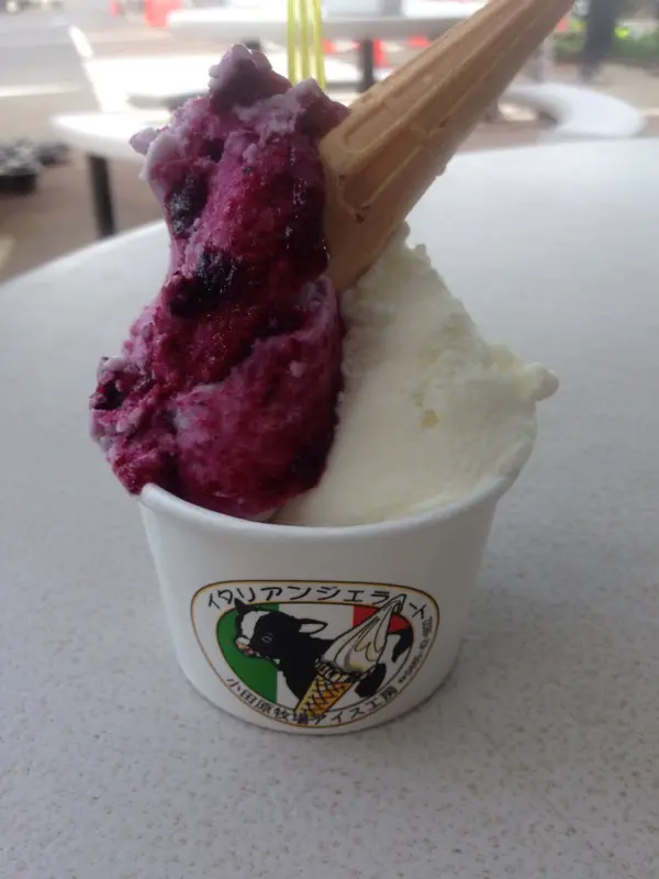 スポット内のおすすめ