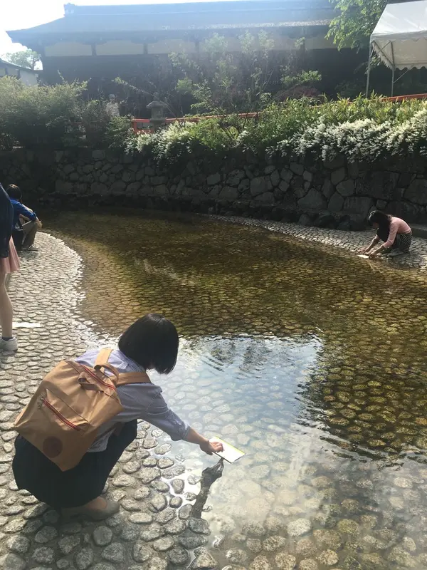 お水に浮かべるおみくじ