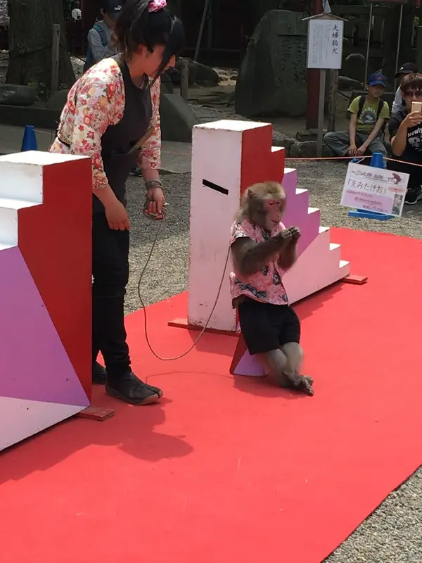 ちょうど猿回しやってました
