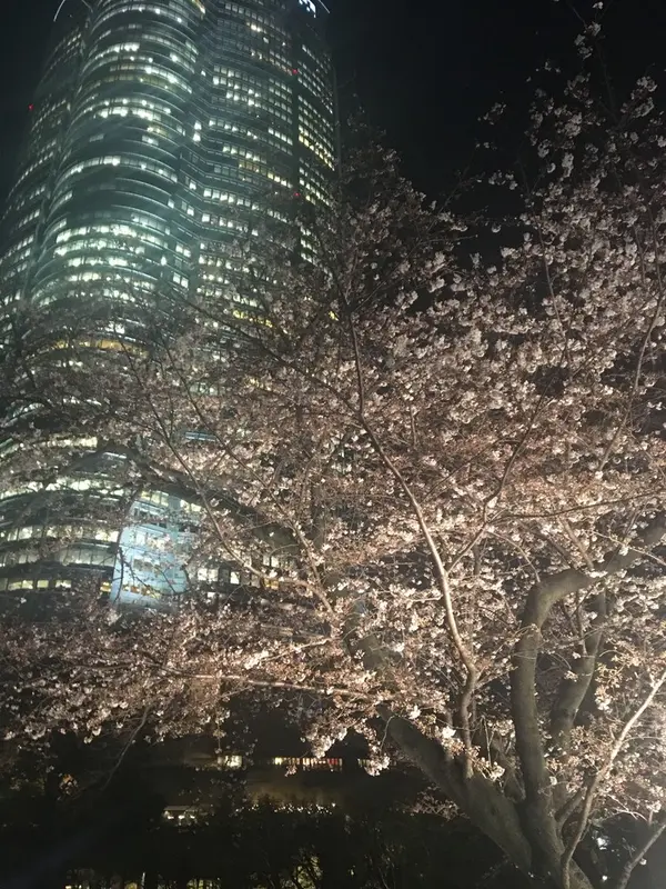 毛利庭園