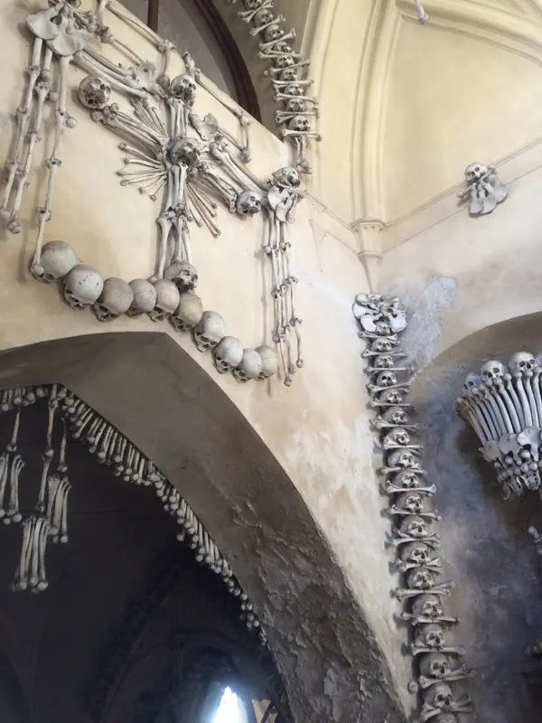 すべてホンモノの人骨。入口から、なんとも言えない雰囲気が漂います。