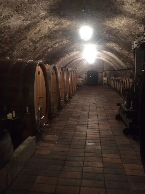 中はひんやり。数種類のワインの試飲ができます♪