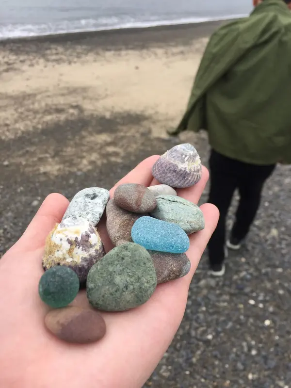 海で貝殻集め🐚