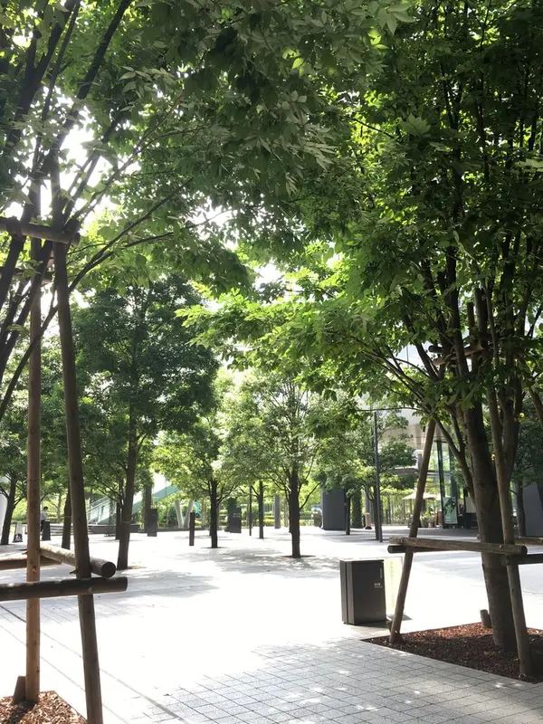 こんな日はのんびりとベンチに座りたい。