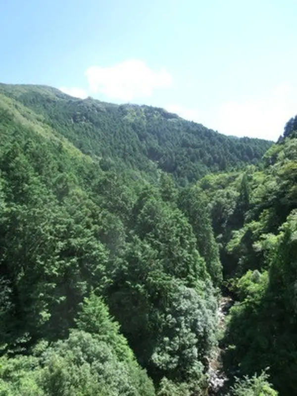 景色