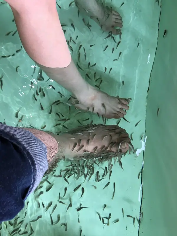 スポット内のおすすめ