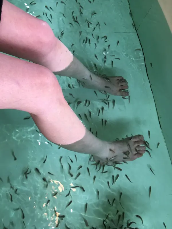 ドクターフィッシュ