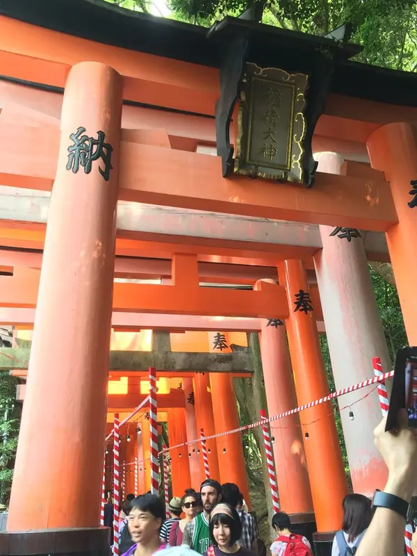 千本鳥居⛩