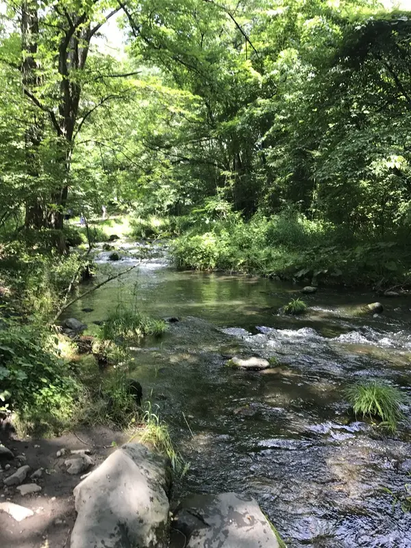 小川のせせらぎを聞きながら