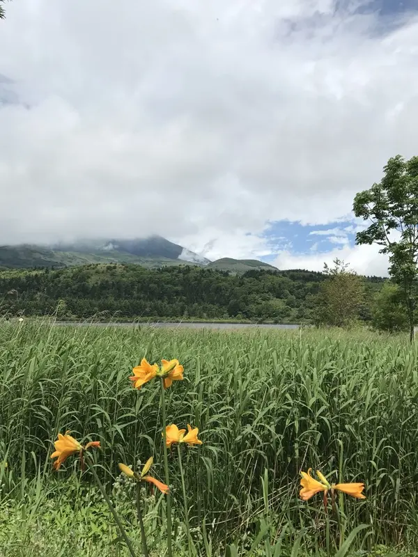 オタトマリ沼