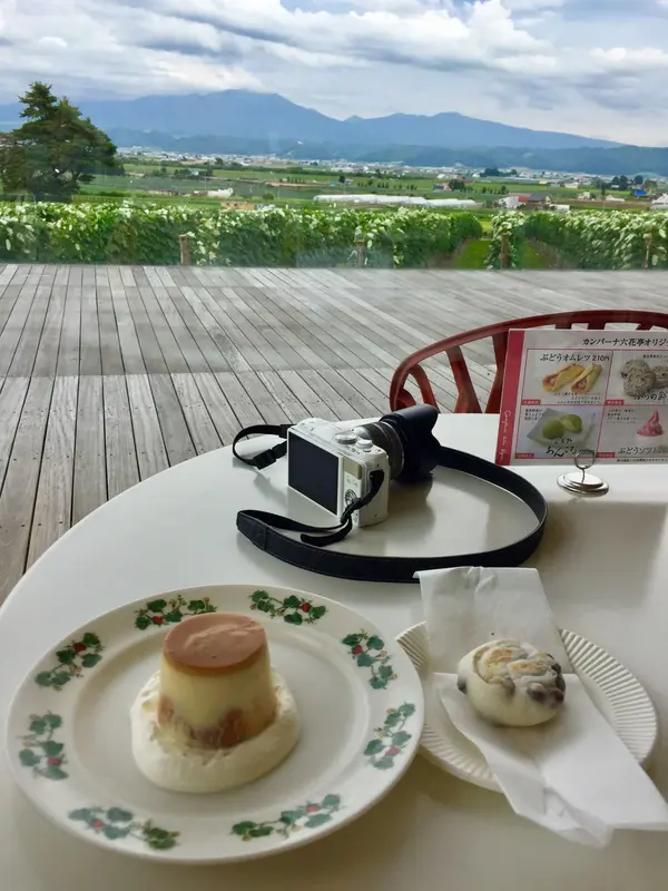 スポット内のおすすめ