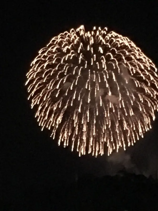 嬉野の花火の二尺玉は空いっぱい！
