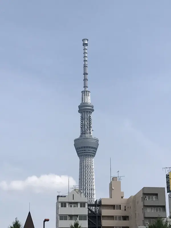 浅草から見たスカイツリー