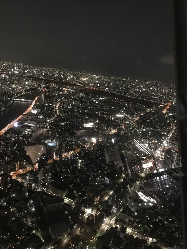 スカイツリーの景色