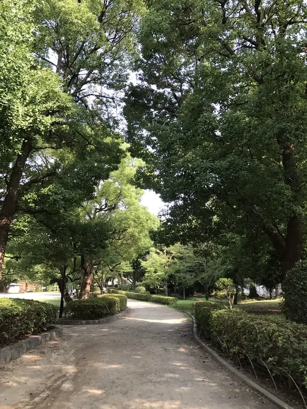 公園