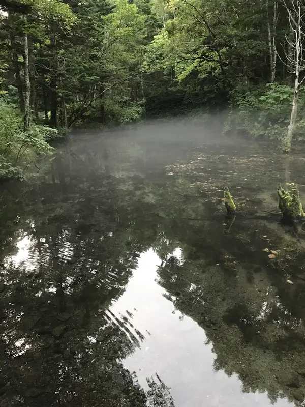 霧が出て来ました…
