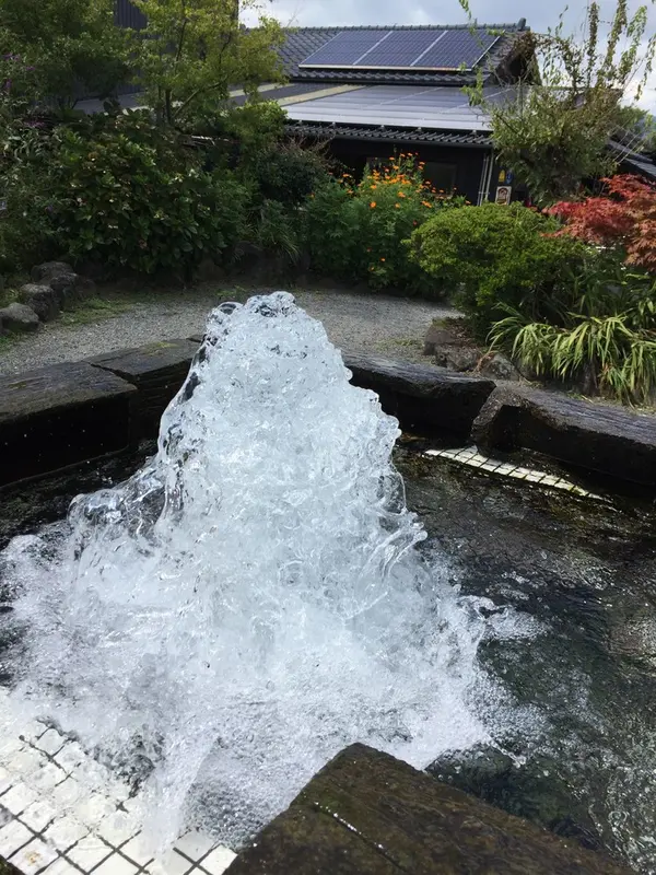 水がキレイ