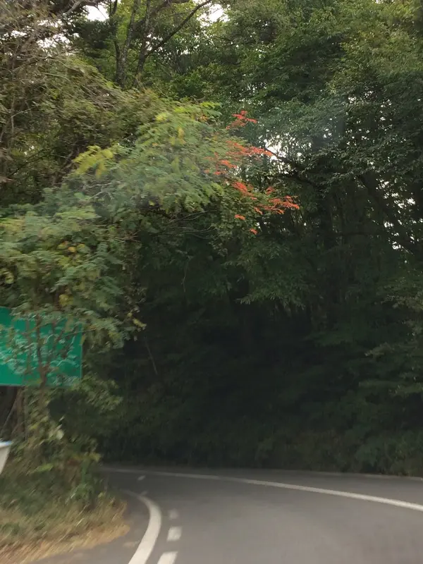 日本ロマンチック街道