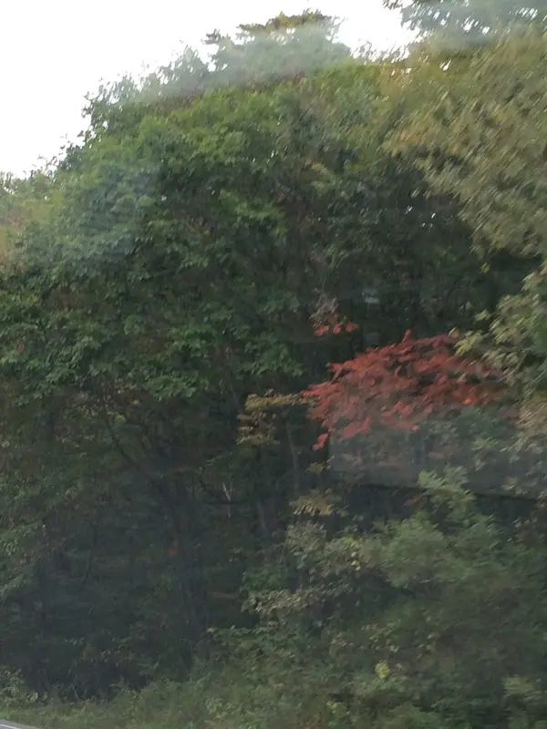 日本ロマンチック街道