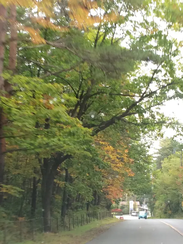 日本ロマンチック街道