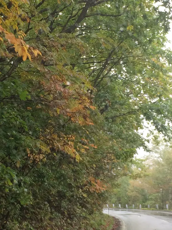 Ｒ292