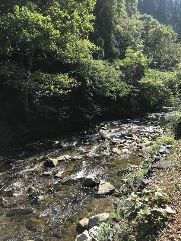 羽束川の渓流