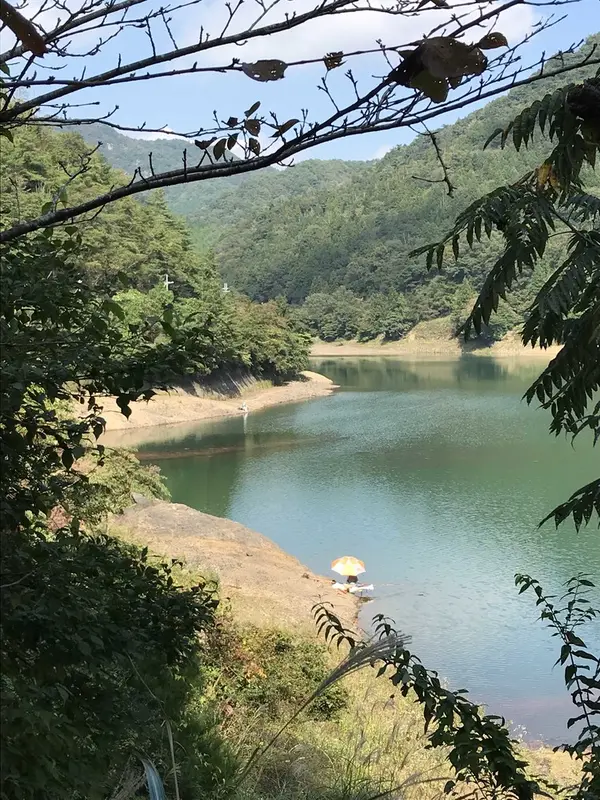 ヘラブナ釣り