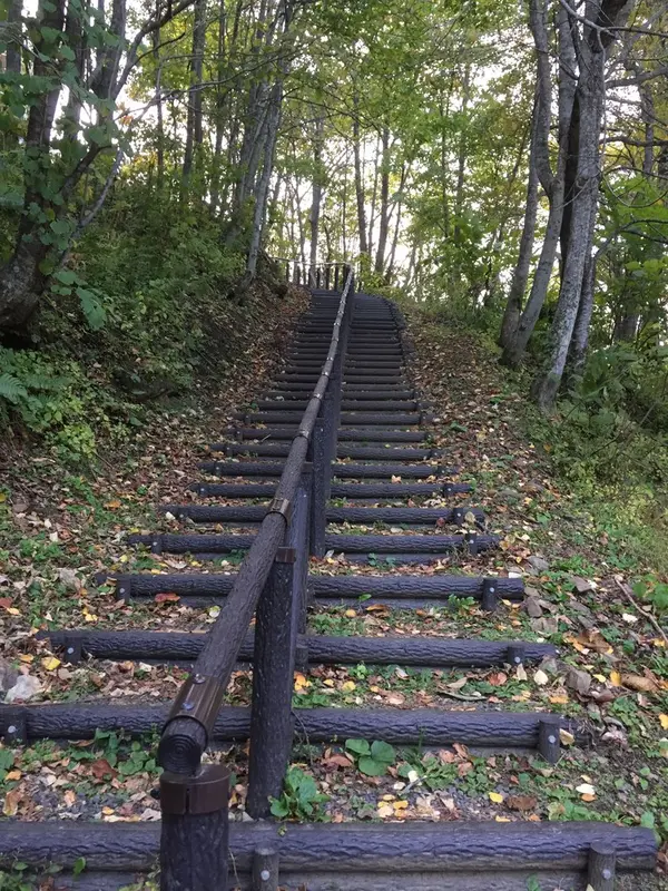 この長い階段を登った先に見られる絶景！