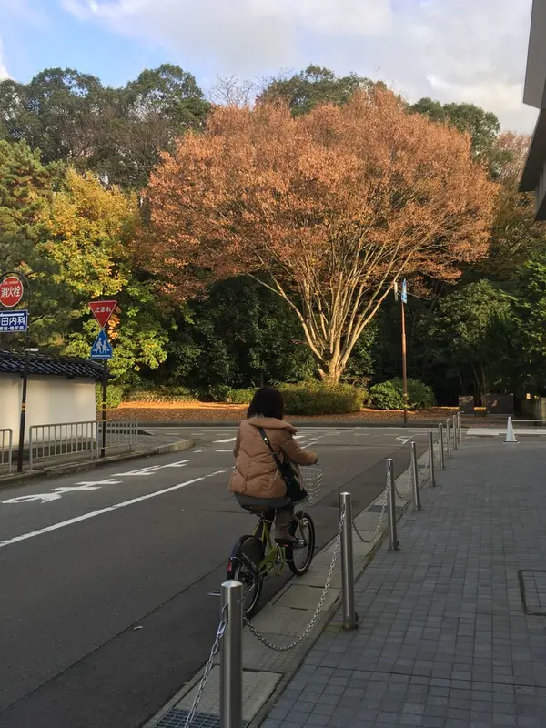 運転中の様子‼︎